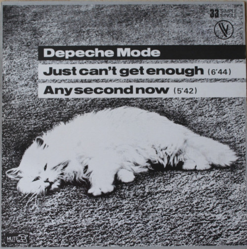 No Images Available